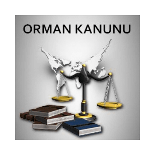 Orman Kanunu